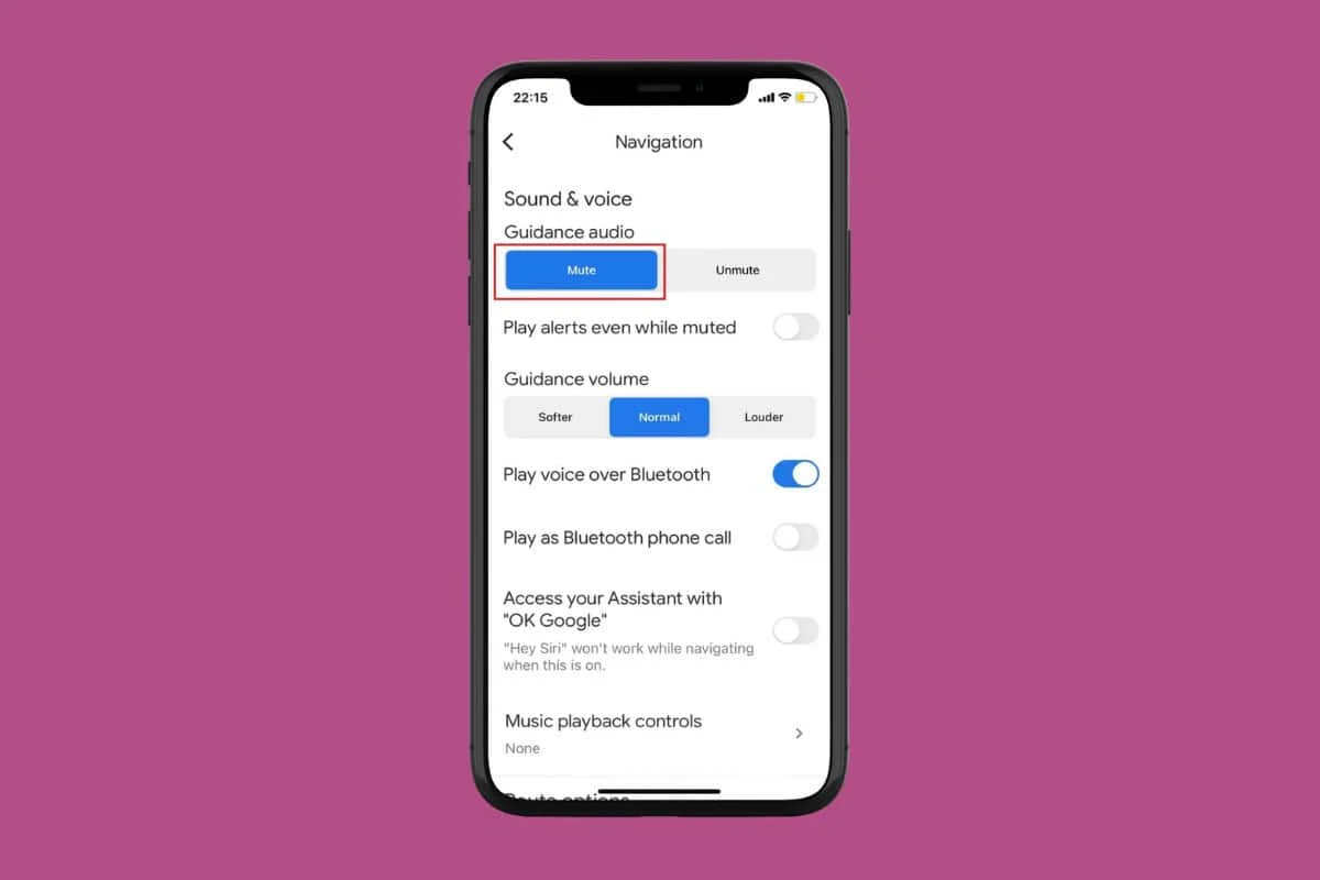 How To Turn Off The Voice In Google Maps